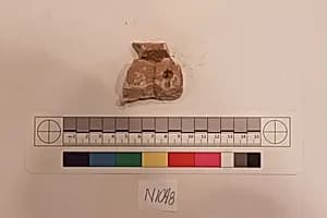 Stucco Fragment by Unknown Artist