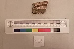 Stucco Fragment by Unknown Artist