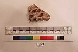 Stucco Fragment by Unknown Artist