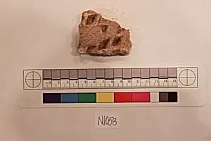 Stucco Fragment by Unknown Artist