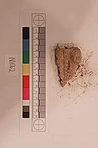 Stucco Fragment by Unknown Artist
