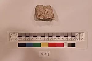 Stucco Fragment by Unknown Artist