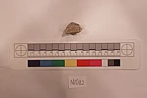 Stucco Fragment by Unknown Artist