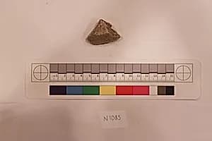 Stucco Fragment by Unknown Artist