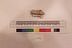 Stucco Fragment by Unknown Artist