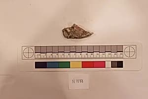 Stucco Fragment by Unknown Artist