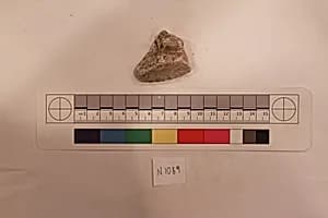 Stucco Fragment by Unknown Artist