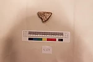 Stucco Fragment by Unknown Artist