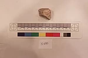 Stucco Fragment by Unknown Artist