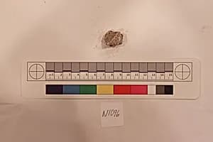 Stucco Fragment by Unknown Artist