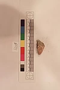 Stucco Fragment by Unknown Artist