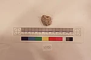 Stucco Fragment by Unknown Artist