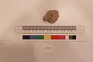 Stucco Fragment by Unknown Artist