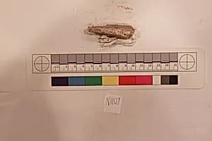 Stucco Fragment by Unknown Artist