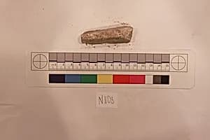 Stucco Fragment by Unknown Artist