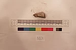 Stucco Fragment by Unknown Artist