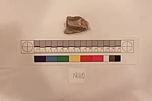 Stucco Fragment by Unknown Artist