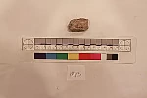 Stucco Fragment by Unknown Artist