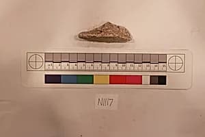 Stucco Fragment by Unknown Artist