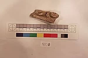 Stucco Fragment by Unknown Artist