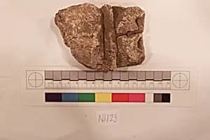 Stucco Fragment by Unknown Artist