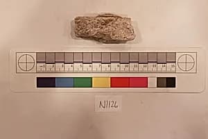 Stucco Fragment by Unknown Artist