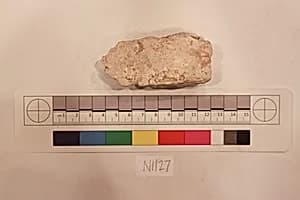 Stucco Fragment by Unknown Artist
