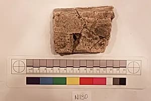 Stucco Fragment by Unknown Artist