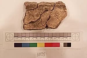 Stucco Fragment by Unknown Artist