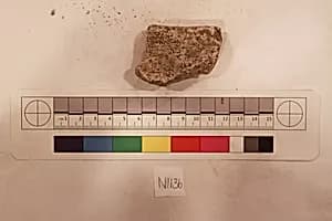 Stucco Fragment by Unknown Artist