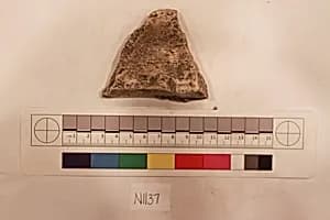 Stucco Fragment by Unknown Artist