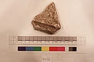 Stucco Fragment by Unknown Artist