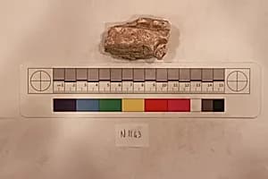 Stucco Fragment by Unknown Artist