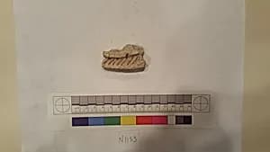 Stucco Fragment by Unknown Artist