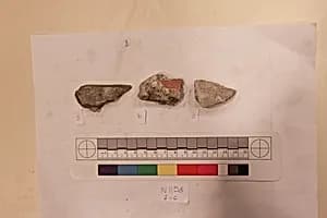 Stucco Fragment by Unknown Artist