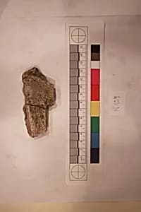 Stucco Fragment by Unknown Artist