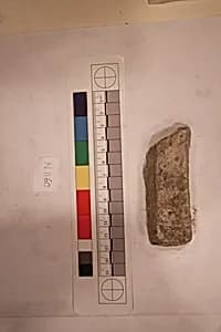 Stucco Fragment by Unknown Artist
