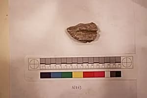 Stucco Fragment by Unknown Artist