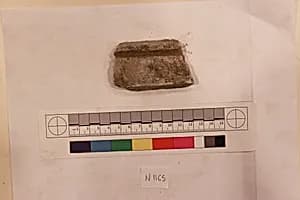 Stucco Fragment by Unknown Artist