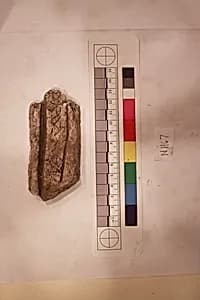 Stucco Fragment by Unknown Artist