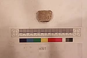 Stucco Fragment by Unknown Artist