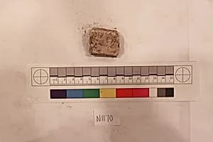 Stucco Fragment by Unknown Artist