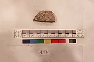 Stucco Fragment by Unknown Artist