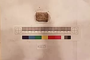 Stucco Fragment by Unknown Artist