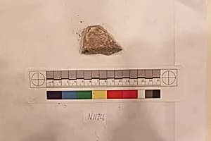 Stucco Fragment by Unknown Artist