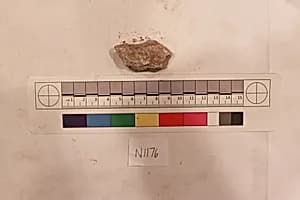 Stucco Fragment by Unknown Artist