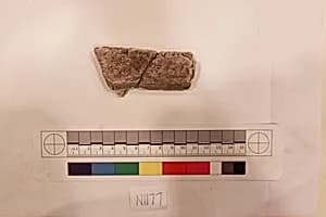 Stucco Fragment by Unknown Artist