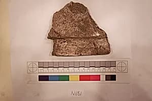 Stucco Fragment by Unknown Artist