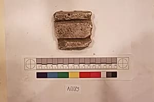 Stucco Fragment by Unknown Artist