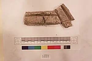 Stucco Fragment by Unknown Artist